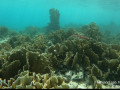 Curacao Expedition Klinke Bejarano May 2022     July 2022  2 