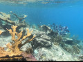 Curacao Expedition Klinke Bejarano May 2022     July 2022  7 